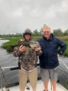 River Largemouth Bass Florida 